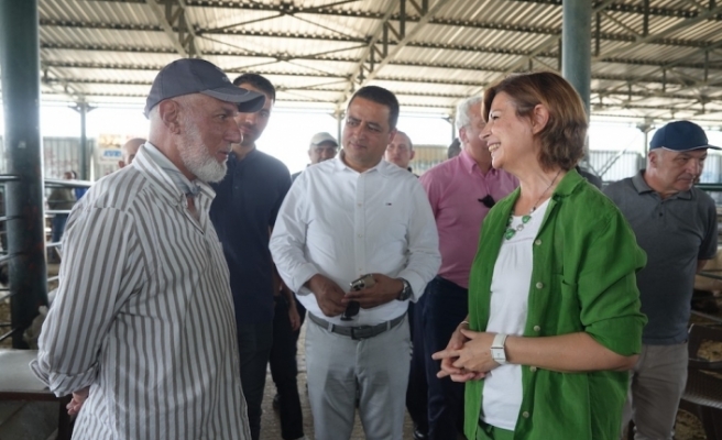 Başkan Ünlüce Hayvan Pazarı'nı gezdi